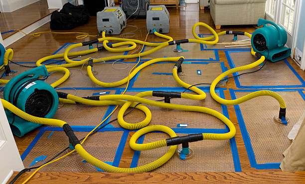 Professional Flood Damage Restoration technician working in Frankfort, MI